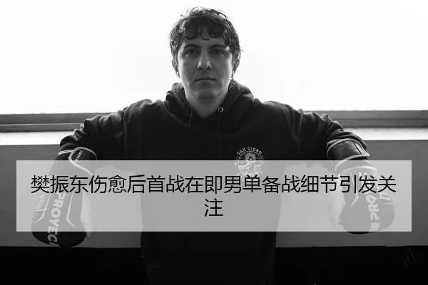 樊振东伤愈后首战在即男单备战细节引发关注